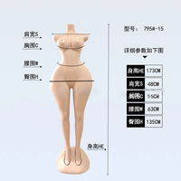 Mannequins de présentation pleine grandeur pour femmes grandes tailles, formes de présentation féminines en plastique pour magasins de vêtements