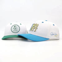 Nouvelles casquettes de baseball sportives à visière incurvée, bicolores, 6 panneaux, en polyester 100%, avec logo brodé 3D personnalisé de haute qualité, OEM.