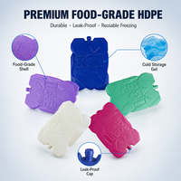 Packs de glace réutilisables longue durée pour boîtes à lunch, camping, briques de glace pour congélateur