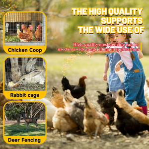 Valla de jardín económica Pantalla de abeja Calibre 15 5 '* 50' Cuadrado de malla de alambre soldado galvanizado para jaula de red de animales de aves de corral de plantas de jardín - Product Image 2