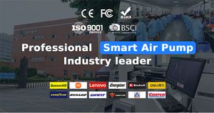 Xách tay có thể sạc lại kỹ thuật số Tire Inflator W/Màn hình LCD & Auto shutoff-ISO9001 chứng nhận nhà sản xuất - Product Image 6