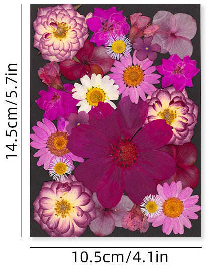 MH712 Fuchsia 23 pièces