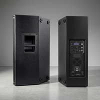 Speaker Aktif 15 Inch Full Range 3000W Peak DSP Kabinet Kayu Birch Profesional untuk Panggung PA