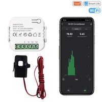 Medidor de energía inteligente de grafiti monofásico Tuya Transformador de corriente WiFi CT 220V 80A 0. Precisión de 0,2-30kWh Rango transfronterizo de-30kWh
