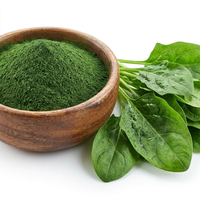 Poudre d'épinards de qualité supérieure - 100% pure et naturelle, superaliment vert pour les smoothies et les pâtes