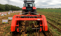 Récolteuse de patates douces à double rangée montée sur tracteur pour la vente Machine de récolte de patates douces