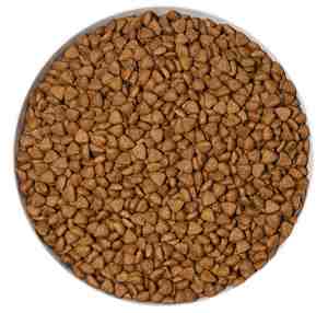 Comida para perros sin granos de carne real con tratamiento liofilizado, muchos tamaños, fabricante ODM/OEM - Product Image 5