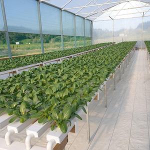 <span class=keywords><strong>Kit</strong></span> de système de culture hydroponique intérieur NFT Système hydroponique vertical pour laitue Serre - Product Image 3
