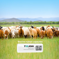 Elevage d'animaux Capsule intelligente pour l'estomac des vaches d'élevage Surveillance en temps réel de l'état de santé de l'oestrus Grossesse et vêlage