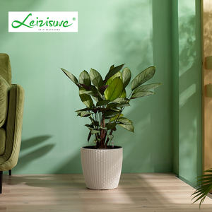 <span class=keywords><strong>Pot</strong></span> de fleurs coloré, <span class=keywords><strong>pot</strong></span> de fleurs en plastique, pots similaires Lezisure - Product Image 2