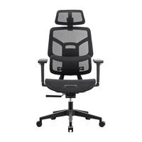 Chaise de bureau de luxe ergonomique en maille avec test BIFMA, service OEM/ODM personnalisé, Sillas De Oficina