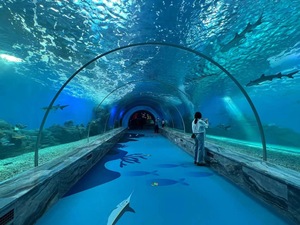 Mini aquarium de bureau aquaponique personnalisé écosystème en bois fonction autonettoyante aquarium en acrylique en demi-cercle pour boîte Zen de bureau - Product Image 3