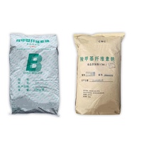 Poudre de CMC-Na, Carboxyméthylcellulose sodique, CMC, Carboxyméthylcellulose sodique pour pack de glace, 200 grammes, échantillon gratuit