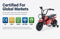 Trottinette électrique pour enfants édition hiver 36V pour les distributeurs de Russie et d'Ukraine