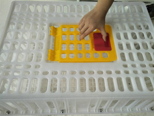 Chất lượng cao NEW Nhựa Giao thông vận tải LỒNG CHIM cho sống Gà Gia cầm <span class=keywords><strong>Crate</strong></span> cho gà Giao thông vận tải - Product Image 3