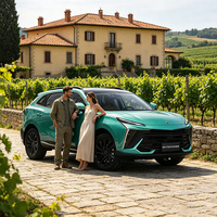 Exportation en vogue : Forthing T5 EVO PRO SUV Crossover Urbain, Couple de pointe 285 Nm, Suspension arrière multi-liaisons stable pour les trajets quotidiens