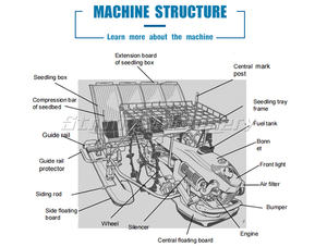 Transplantador de arroz Tipo de conducción Trasplantador de arroz plantador de semillas de arroz/máquina plantadora de semillas de arroz - Product Image 4
