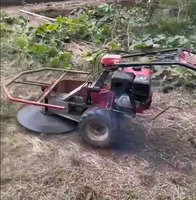 Moins cher paille de luzerne poussée à la main ferme essence diesel tondeuse à gazon tondeuse à disque Machines agricoles