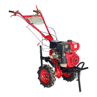 Cultivateur rotatif BCS 80 cm, marque italienne réputée, mini motoculteur avec moteur essence/diesel 4 cylindres 10 CV, poids 45 kg