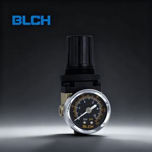 BLCH AR2000 yüksek basınçlı pnömatik regülatör-basınçlı hava sistemleri için - Product Image 1