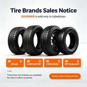 Neumático Radial <span class=keywords><strong>GOODRIDE</strong></span> SU318 H/T 96H <span class=keywords><strong>215</strong></span>/<span class=keywords><strong>60R17</strong></span> Sin Cámara para SUV, Todoterreno, Carretera, PCR, para Autos Familiares, en Oferta - Product Image 6