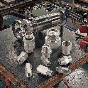 Fabrieksverkoop Roestvrijstalen Hydraulische Terugslagklep Bspt Npt Mannelijke Schroefdraad 1/4 "3/8" 1/2 "Niet-Retour Water Pneumatische Bal Algemeen