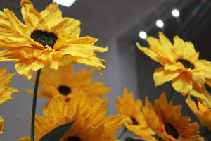 Girasoli Giganti in Carta Fatti a Mano di Alta Qualità a <span class=keywords><strong>Prezzo</strong></span> di Fabbrica Personalizzati per Decorazioni di Matrimoni Negozi Casa Palcoscenico - Product Image 6