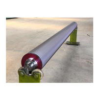 Rouleau Anilox Céramique pour Machine d'Impression Flexographique et Gravure, pour Machine à Rouleaux d'Encre