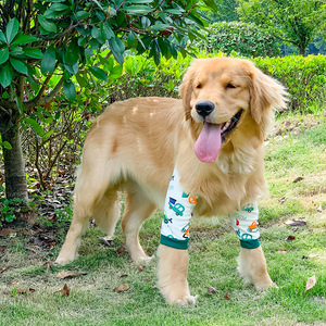 Ropa protectora de rodilla y codo para Golden Retrievers y Labradores Protección de articulaciones y antiabrasión - Product Image 1