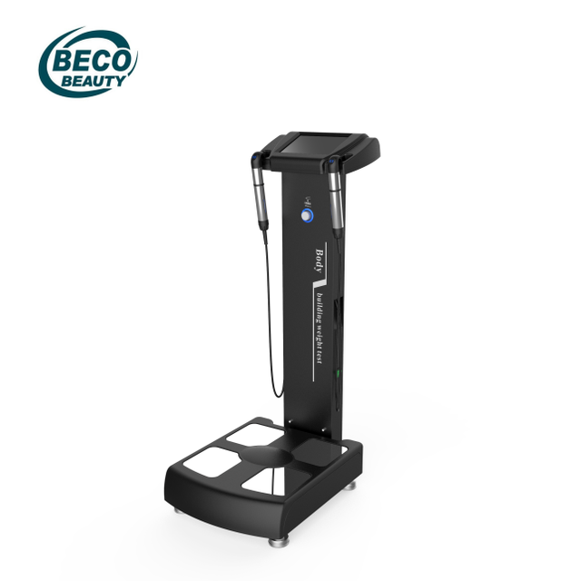 Professional Body Composition Assessment System with Multi Frequency Bioelectrical Impedance for Accurate Fitness Data