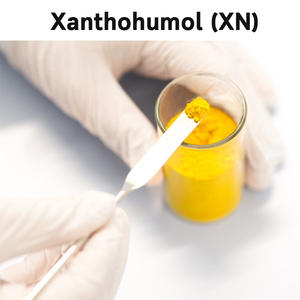 コーシャーハラール20:1 10:1 Humulus Lupulusホップ花エキスパウダー - Product Image 3