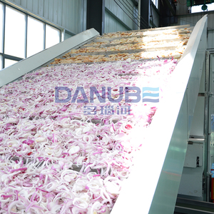 Spot Supply Mesh Belt Onion Dryer and Grinder Machine Onion Cutting and Drying Grinding Production Line - Product Image 5