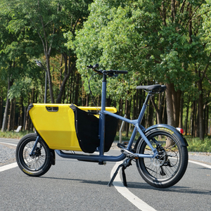 Vélo <span class=keywords><strong>cargo</strong></span> à longue portée avec cadre en aluminium à 9 vitesses, 2 roues, siège familial pour enfants et animaux domestiques, capacité de charge de 160 kg, roues de 20 pouces - Product Image 4