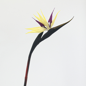 Commercio all'ingrosso di medie dimensioni morbido di gomma artificiale uccello realistico Touch Table disposizioni per il natale per la casa dell'hotel Festival - Product Image 4