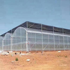 Invernadero Agrícola Personalizado de Múltiples Tramos con Película Plástica para Cultivo de Vegetales y Flores - Product Image 2