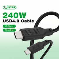 Câble USB 4.0 Type-C mâle vers mâle WISTAR de haute qualité, charge ultra-rapide 5A pour téléphone