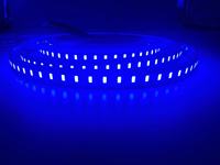 Bande LED RGBCCT 5-en-1 24V à haute luminosité, 95 CRI, SMD 5050, 6 broches, RGBCW RGBW WW 60 120