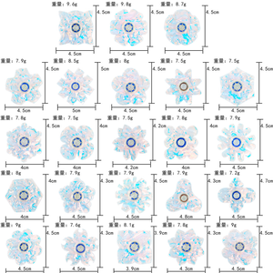 ZG Nguồn cung cấp Quà Tặng cứu trợ lo lắng Spinners giảm căng thẳng Đồ chơi chảy long lanh ngón tay <span class=keywords><strong>Fidget</strong></span> Spinners trong suốt - Product Image 6