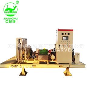 Pompe à piston Whale Card HW200HF 1000 kg haute pression en acier inoxydable 316, type alternatif, pour équipement routier - Product Image 3