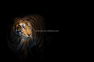 Majestic Lion Tiger Design Salon Chambre <span class=keywords><strong>Studio</strong></span> Papier Peint Mural Décoratif <span class=keywords><strong>3D</strong></span> - Product Image 6