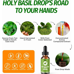 Extrait liquide de feuilles de basilic sacré <span class=keywords><strong>naturel</strong></span> sous marque privée, supplément végétalien à base de plantes pour hommes et femmes - Product Image 2