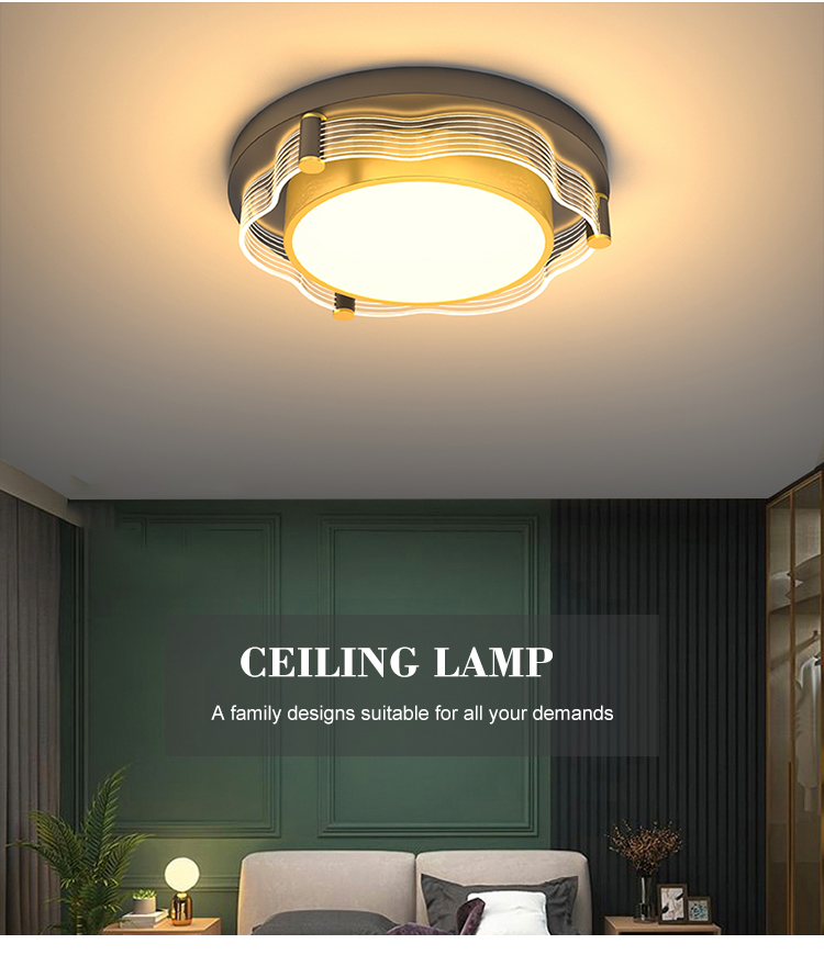 New Product Indoor Decoration Iron Acrylic Bedroom Living Room Contemporary LED Ceiling Light