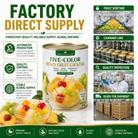 OEM ODM Private Label Gemengde Fruit Conserven 850g 12 blikjes per doos 36 maanden houdbaarheid Op kamertemperatuur bewaren