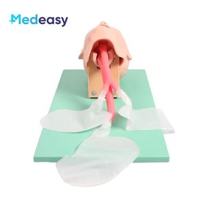 Mô hình đào tạo Đặt nội khí quản nhi khoa nghiên cứu mô hình giảng dạy mô phỏng Đặt nội khí quản - Product Image 3