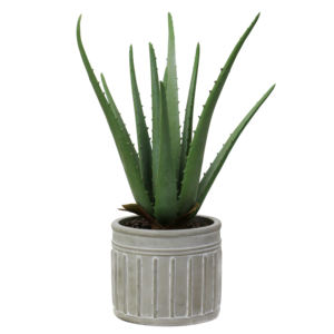 Plantas artificiales <span class=keywords><strong>de</strong></span> Aloe <span class=keywords><strong>Vera</strong></span> para decoración interior, recién llegadas, naturales, <span class=keywords><strong>de</strong></span> fábrica - Product Image 2