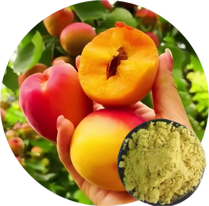 Fournisseur en gros de pollen d'abricot - Poudre à activité stable pour augmenter le rendement des vergers d'abricots - Product Image 4