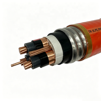 Cable TECK 3C2AWG+1C6AWG con Aislamiento TR-XLPE, Conductor de Cobre con PVC, Blindaje Entrelazado, IP65 5kV para Áreas Industriales Peligrosas