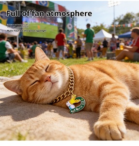 Collar con Colgante de Balón de Fútbol para Mascotas, Cadena Dorada para Gatos y Perros, Colgante de la Copa Mundial de Fútbol, Joyería para Mascotas - Product Image 3