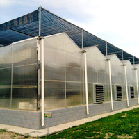 Grande serre en polycarbonate avec structure en acier galvanisé à chaud pour la culture hydroponique de la laitue, système climatique intelligent