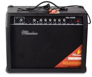 Minsine TG-40R 40 Watt Gitaarversterker met 6,5 inch 4 Ohm houten speaker en basregeling - Product Image 1